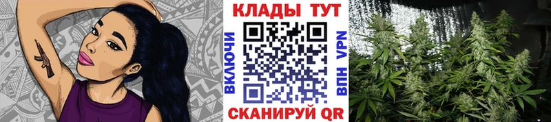 Купить наркотики сайты Касли Бошки Шишки  Альфа ПВП  ГАШИШ  АМФЕТАМИН  КОКАИН 
