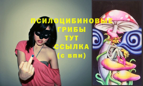 тгк Каменногорск